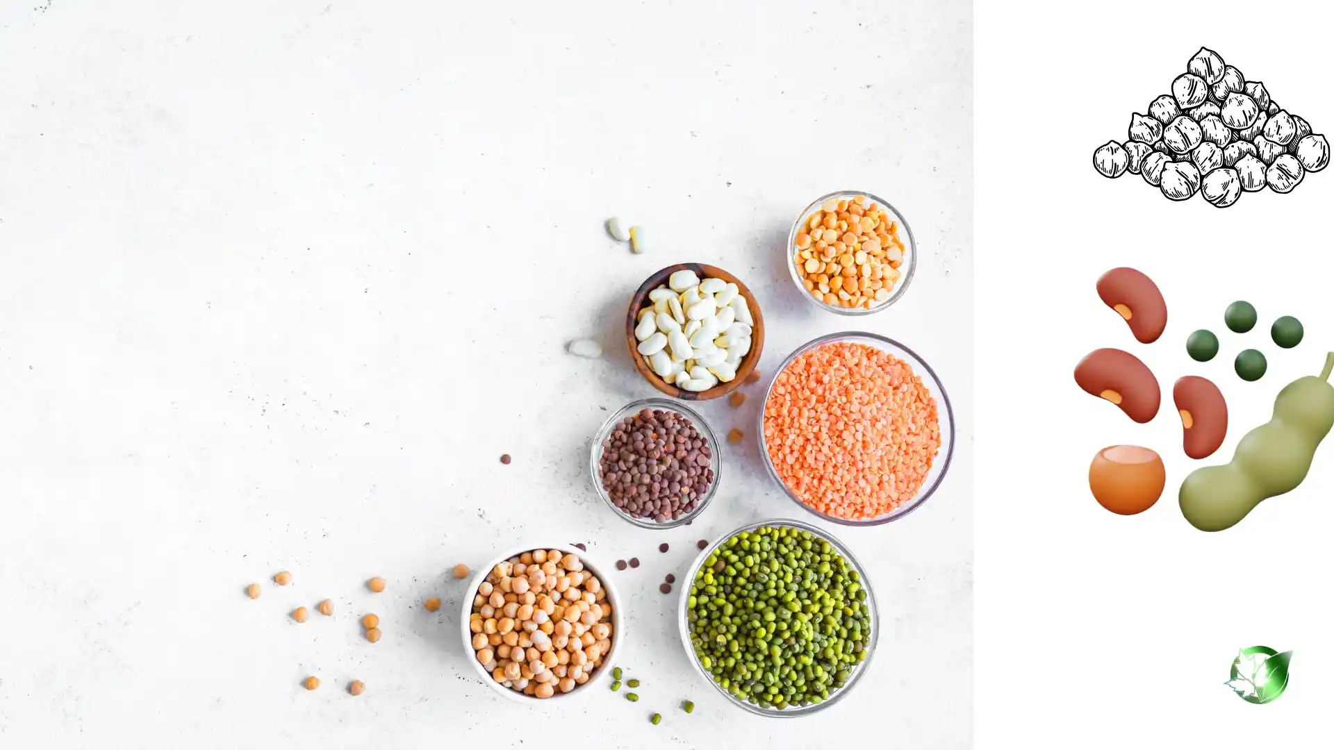 Wholesale packaging for Legumes & Pulses can be planned for retail, professional kitchens, buyer-brand, or production-line distribution.